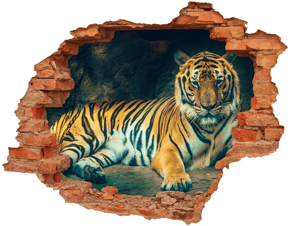 Nálepka 3D diera na stenu Tiger cave