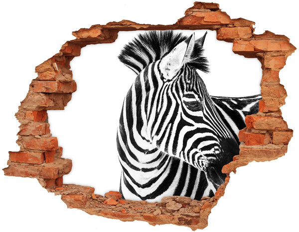 Fototapeta diera na stenu 3D Zebra v diere v stene