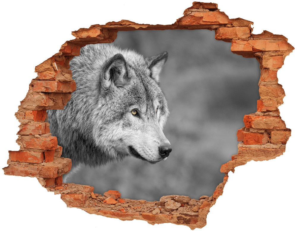 Diera 3D fototapeta nálepka Šedý vlk