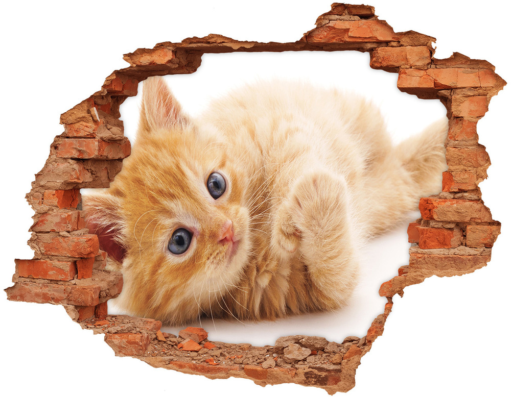 Diera 3D v stene nálepka Red cat