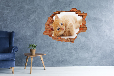 Diera 3D v stene nálepka Red cat