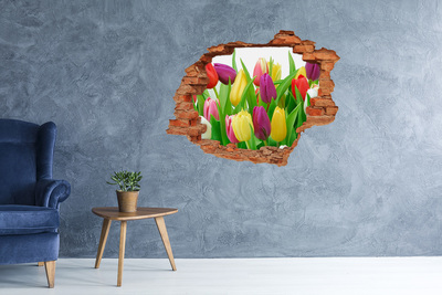 Fototapeta diera na stenu 3D Farebné tulipány