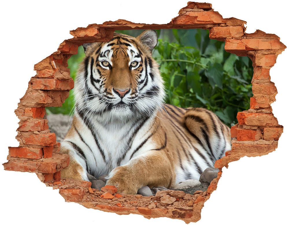 Nálepka 3D diera na stenu Tiger ussurijský