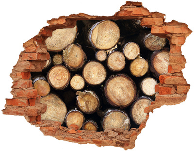 Nálepka fototapeta 3D výhľad Drevo v diere v stene