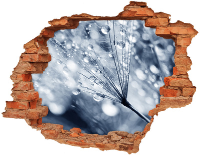 Samolepiaca diera nálepka Kvapky rosy na púpave