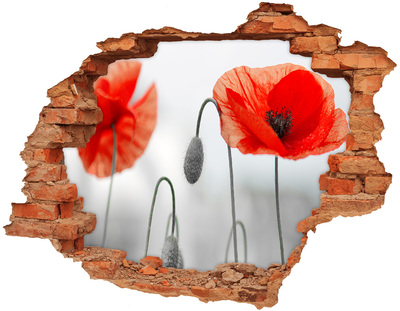 Fototapeta diera na stenu 3D Kvety v diere v stene