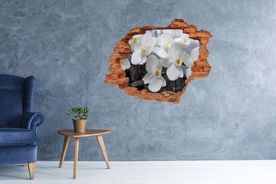Samolepiaca diera na stenu nálepka Orchidea