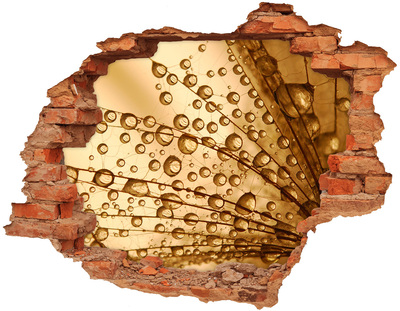Nálepka diera na stenu Zlatá kvapka na betónovom pozadí