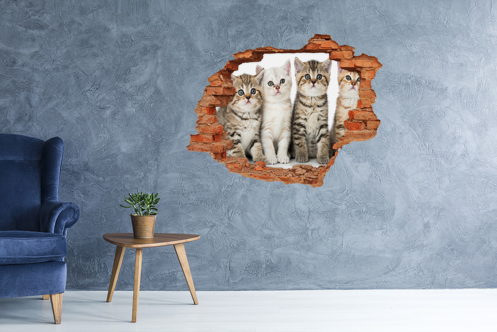 Fototapeta diera na stenu Malé mačky