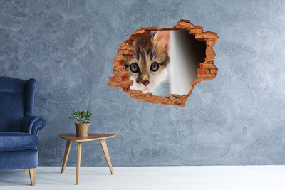 Fototapeta diera na stenu Malá mačka nálepka