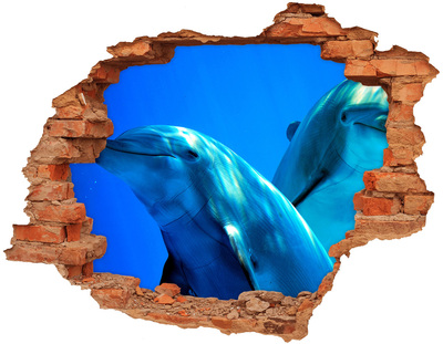 Diera 3D fototapeta nálepka Dva delfíny