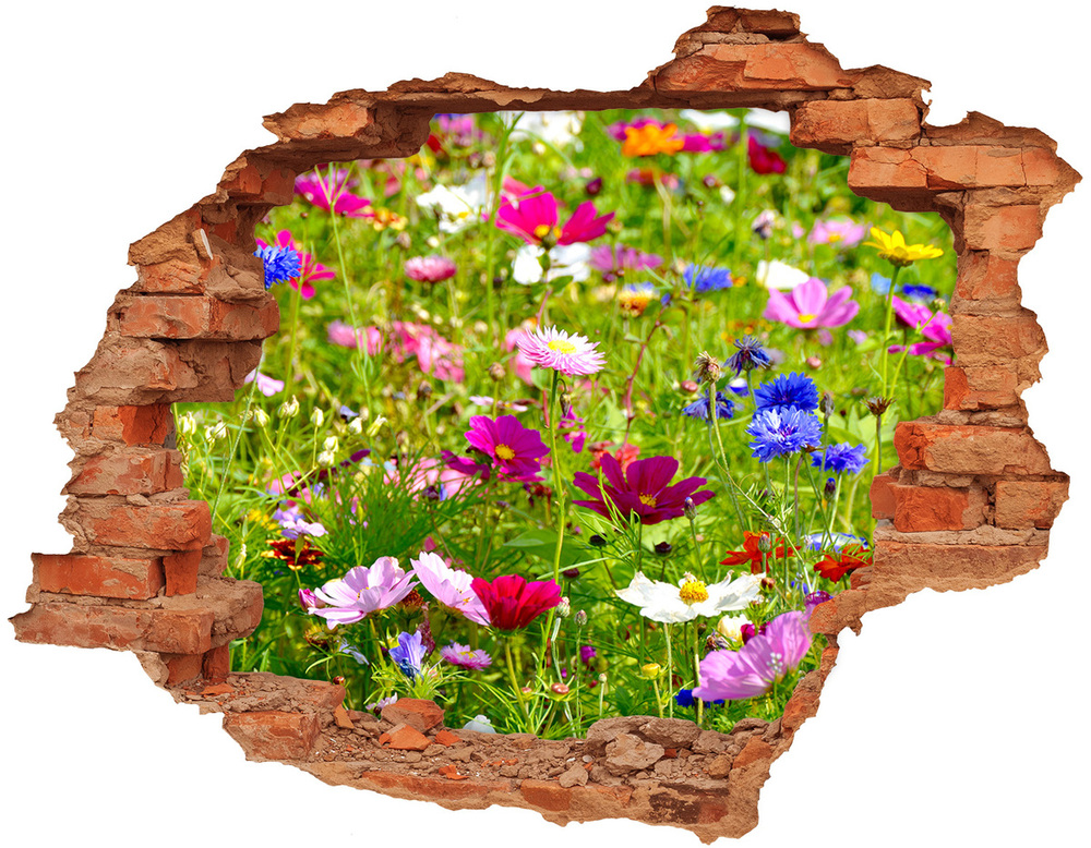 Nálepka diera na stenu Poľné kvety