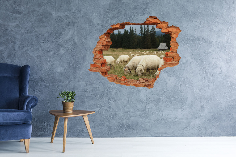 Fototapeta diera na stenu Pasúce sa ovce