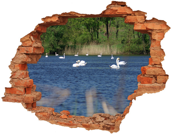 Fototapeta diera na stenu Biele labute