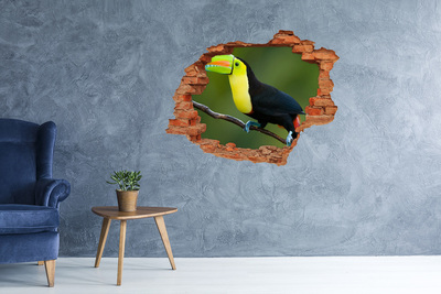 Nálepka 3D diera na stenu Tukan