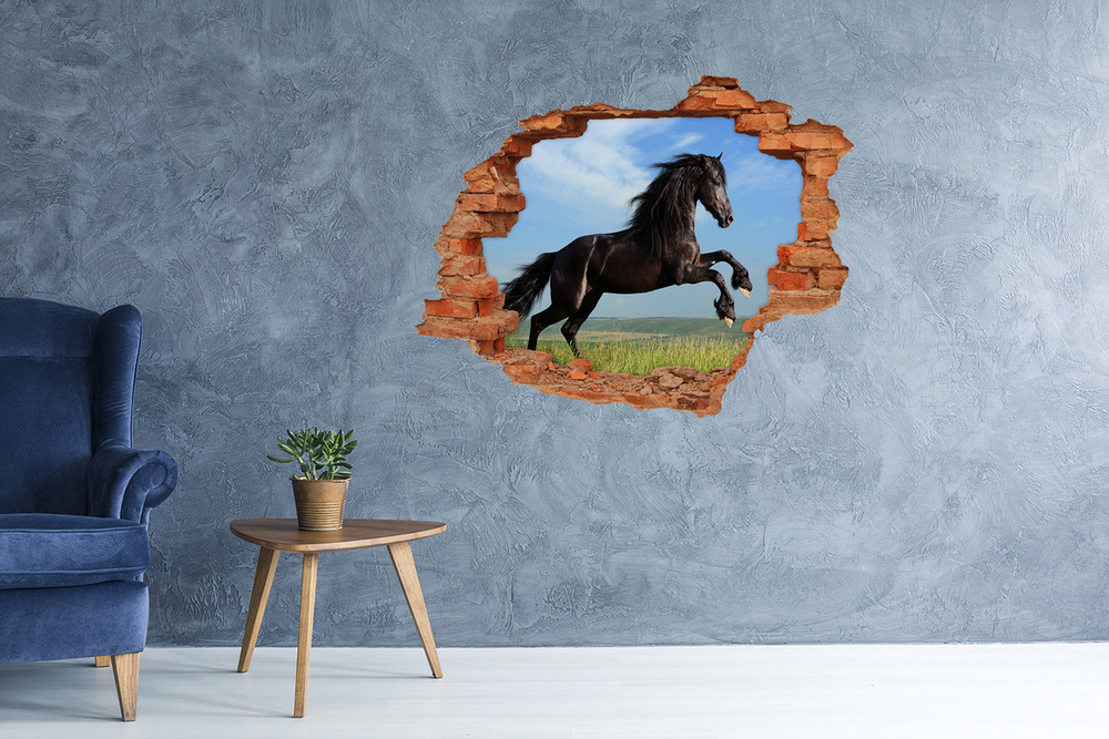 Fototapeta diera na stenu Čierny kôň na lúke