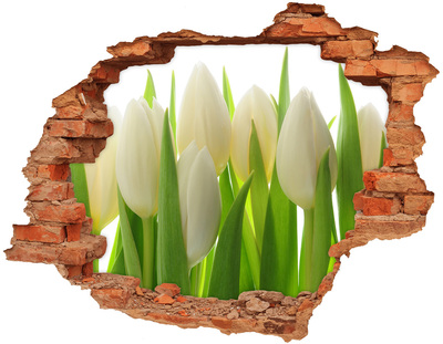 Diera 3D fototapeta Tulipány