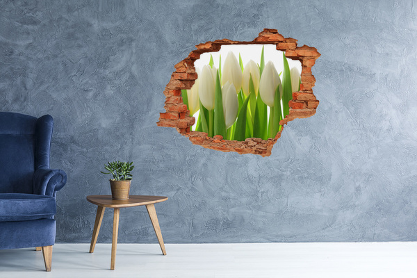 Diera 3D fototapeta Tulipány