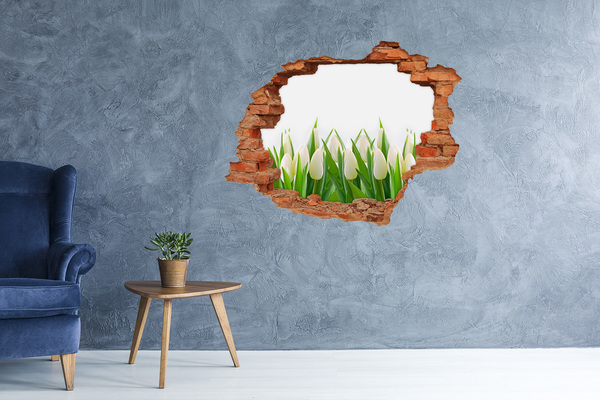 Diera 3D fototapeta nálepka Biele tulipány