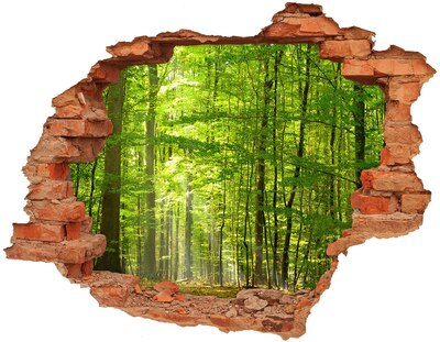 Nálepka fototapeta 3D výhľad Listnatý les