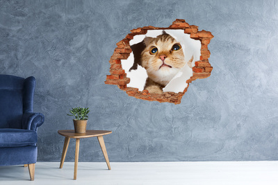 Nálepka 3D diera na stenu betón Mačka v diere