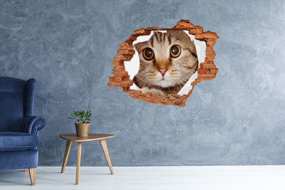 Nálepka 3D diera na stenu Mačka