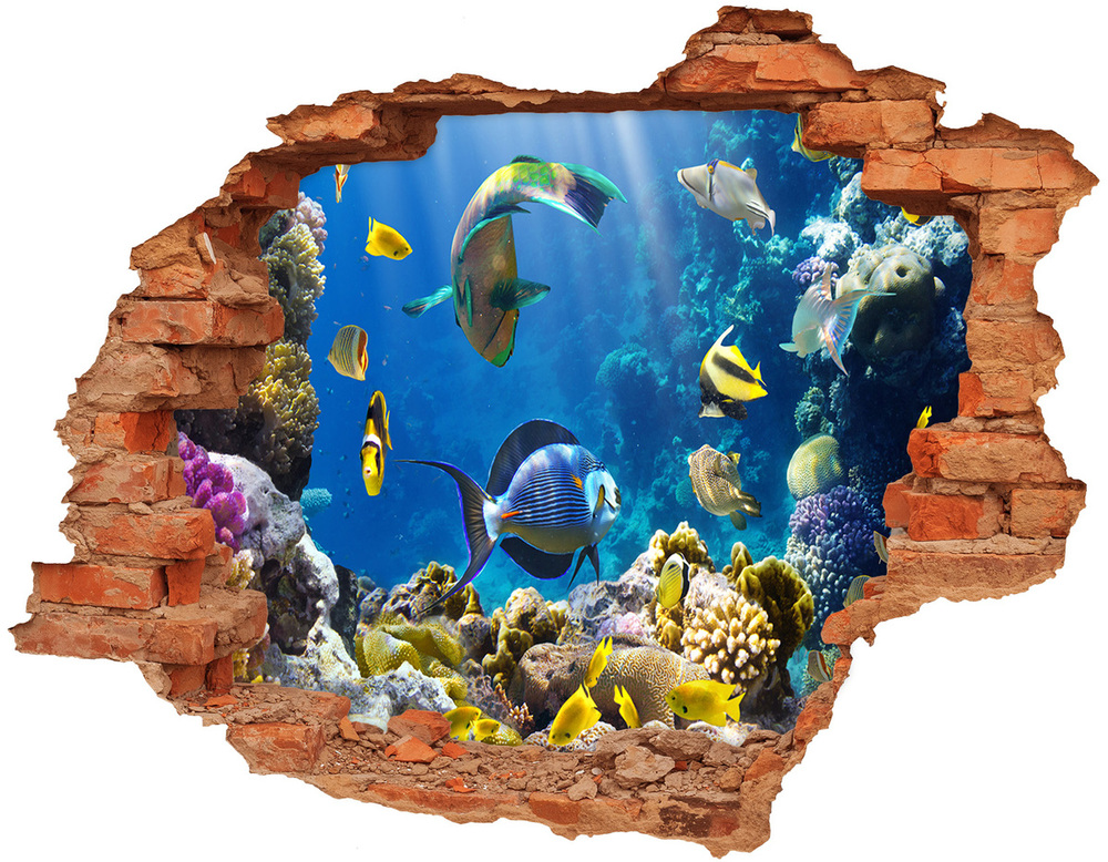 Diera 3D v stene na stenu Koralový útes
