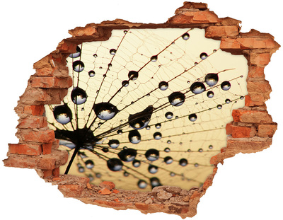 Samolepiaca nálepka Kvapky vody na motýlích krídlach