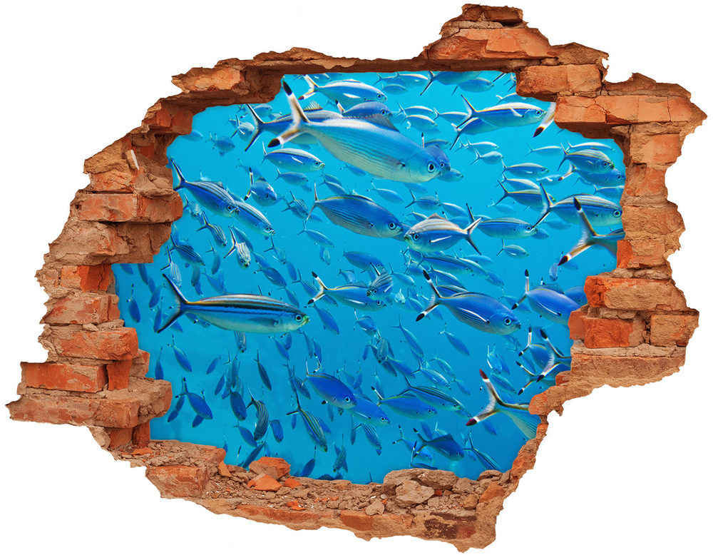 Diera 3D v stene nálepka Koralových rýb