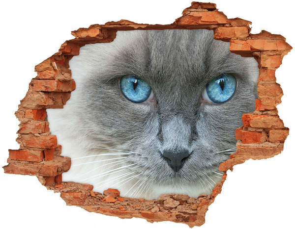Nálepka diera na stenu Mačacie modré oči