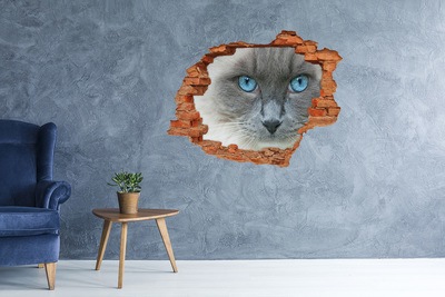 Nálepka diera na stenu Mačacie modré oči