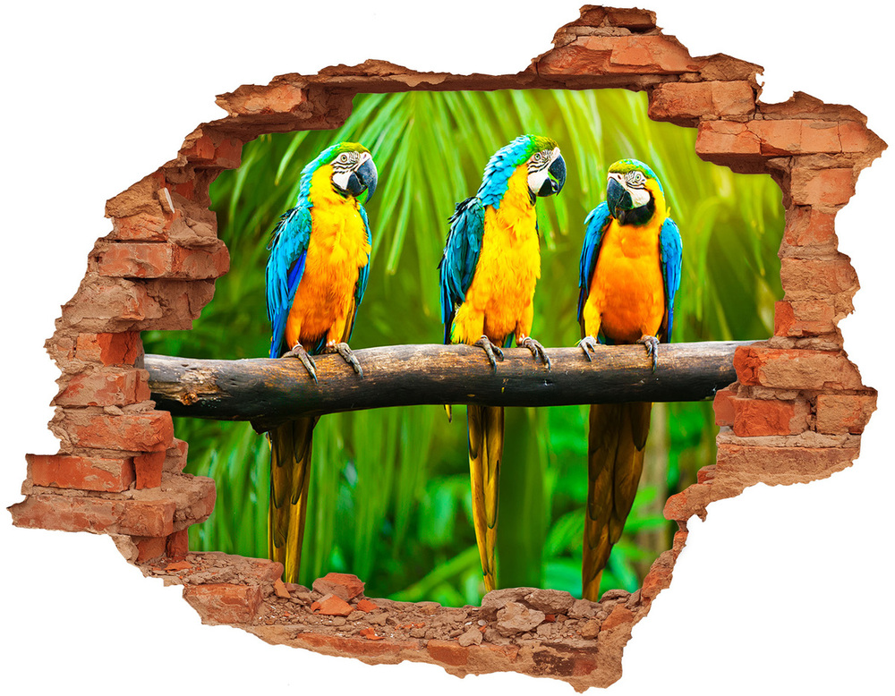 Fototapeta diera na stenu Papagáje na vetve