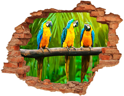 Fototapeta diera na stenu Papagáje na vetve