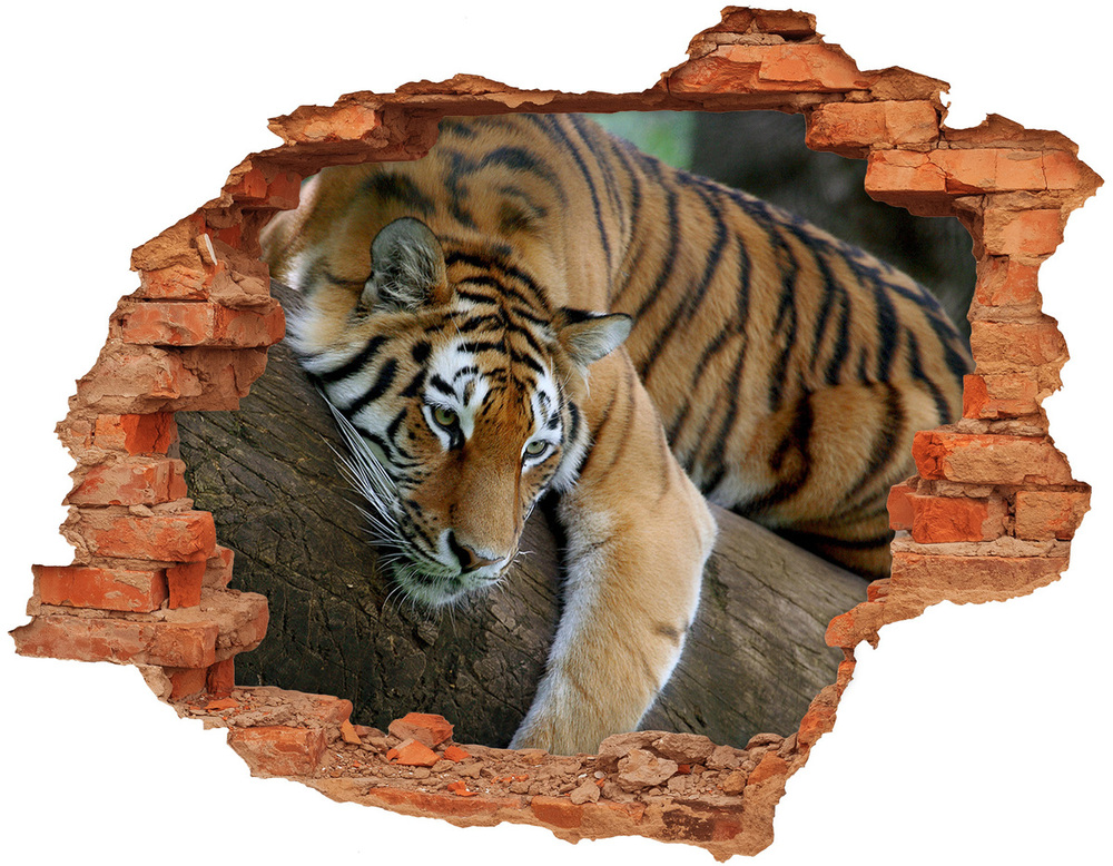 Diera 3D v stene nálepka Tiger na strome