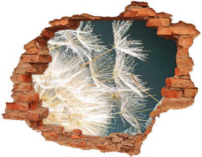 Samolepiaca diera nálepka Kvetinová krajina za dierou