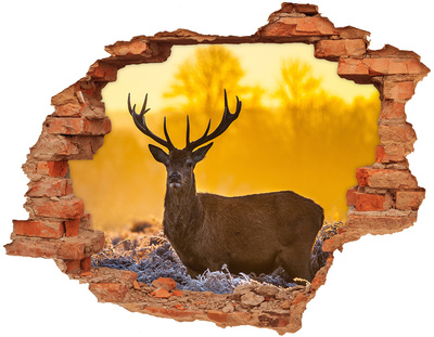 Fototapeta diera na stenu Jeleň sunrise