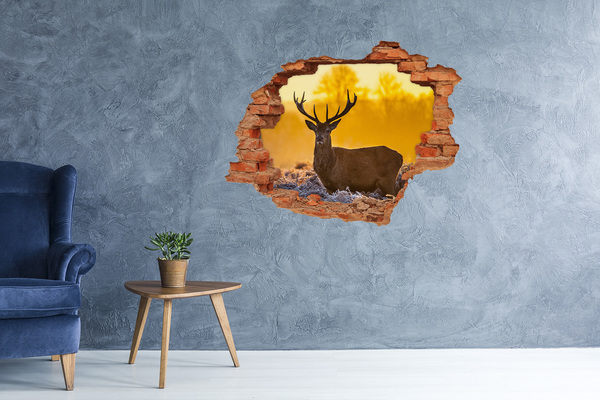 Fototapeta diera na stenu Jeleň sunrise