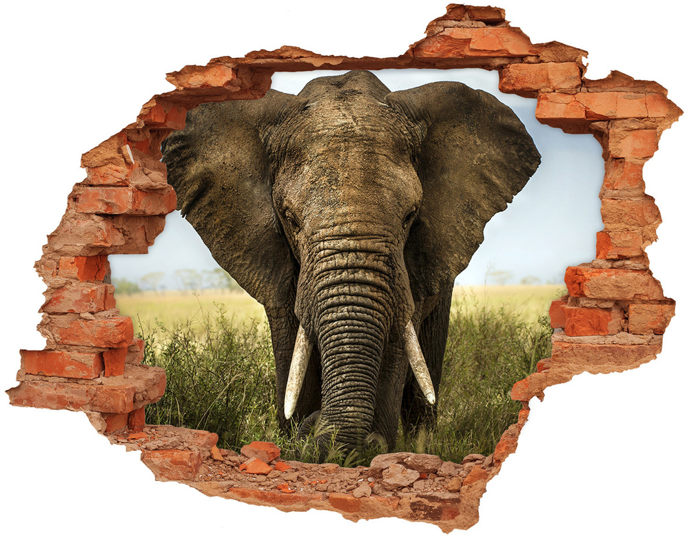 Fototapeta diera na stenu Slon v savane