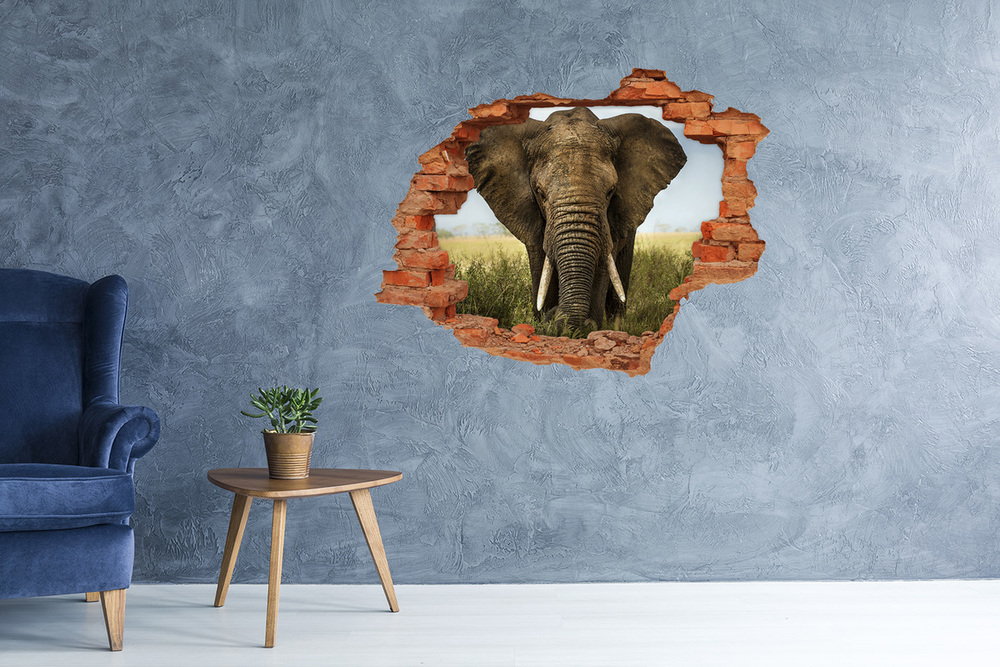 Fototapeta diera na stenu Slon v savane