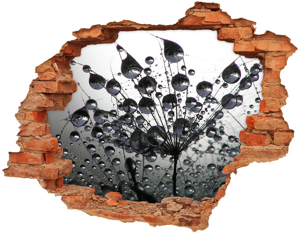 Nálepka fototapeta 3D výhľad Kvapky vody na púpave