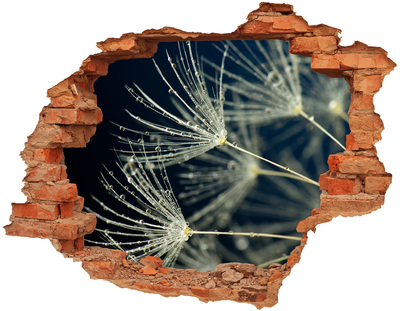 Nálepka fototapeta 3D výhľad betón Púpavové kvety vo vode