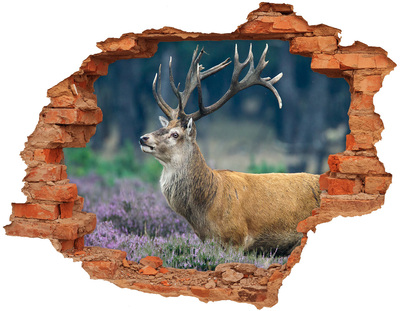 Diera 3D v stene nálepka Jeleň levandule