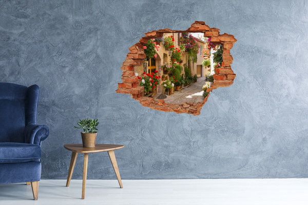 Fototapeta diera na stenu 3D Pôvabné ulice