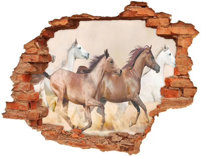 Diera 3D v stene na stenu Cválajúca kone