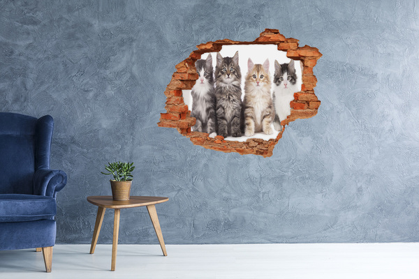 Fototapeta nálepka na stenu Šesť mačky