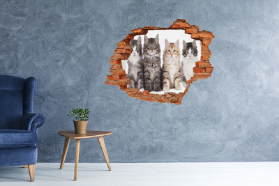 Fototapeta nálepka na stenu Šesť mačky
