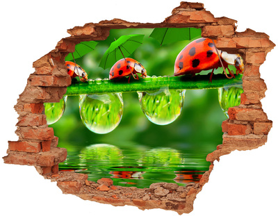 Fototapeta diera na stenu Lienky dáždniky