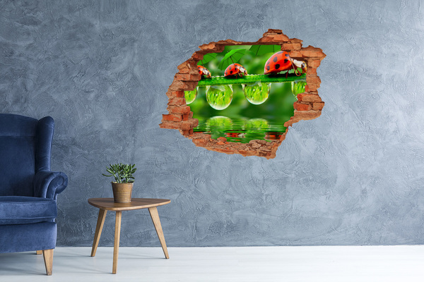 Fototapeta diera na stenu Lienky dáždniky