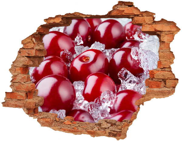 Fotoobraz diera na stenu Ľadový cherry