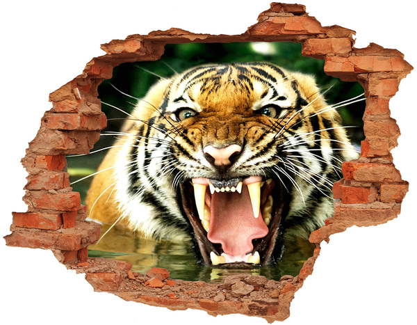 Fototapeta diera na stenu Revúci tiger